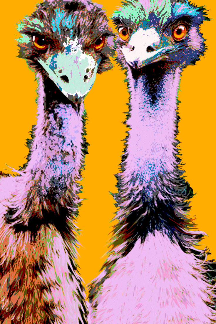 emus